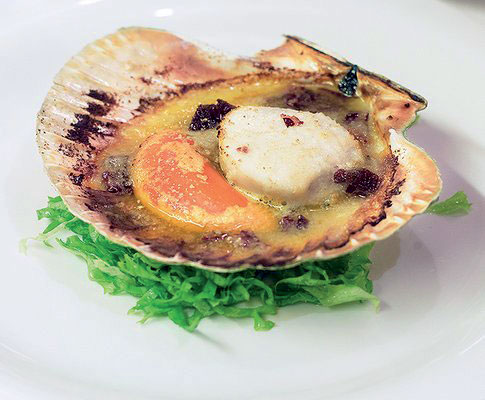 coquilles